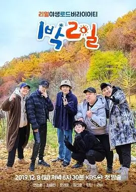 专栏赭石色片单配图，赭石色标签与片单卡片